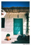 Phoenix 125 Color Negative Film, 35mm