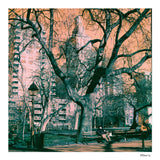 Switch Azure Color Negative Film, 120